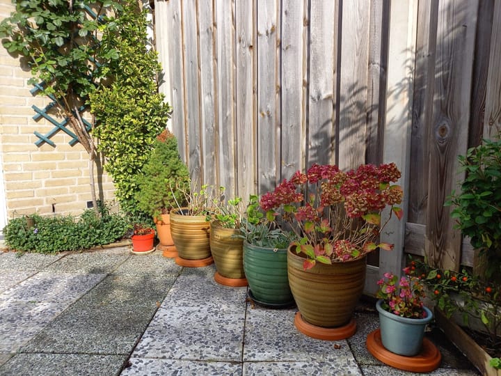 Foto 11 van Andreas Schelfhoutrade 69