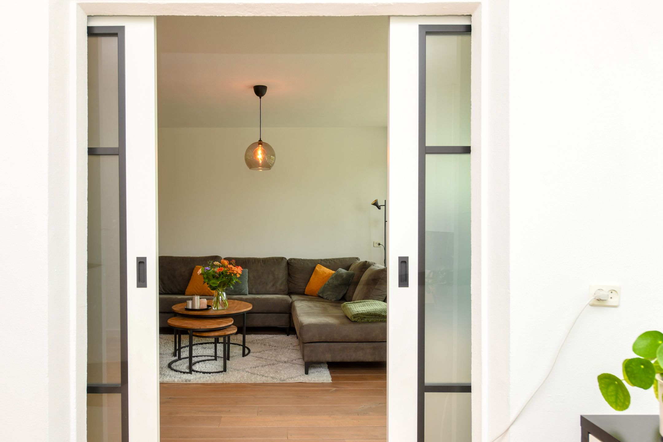 Foto 9 van Trekvogelweg 367