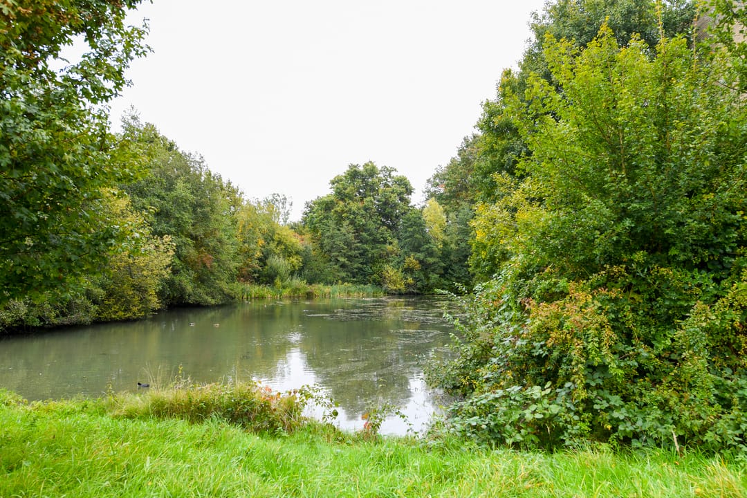 Foto 22 van Trekvogelweg 367