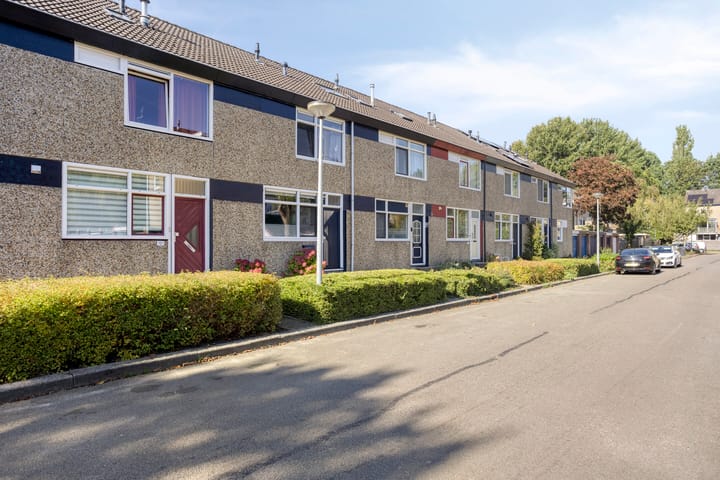 Foto 4 van Lichtboei 120