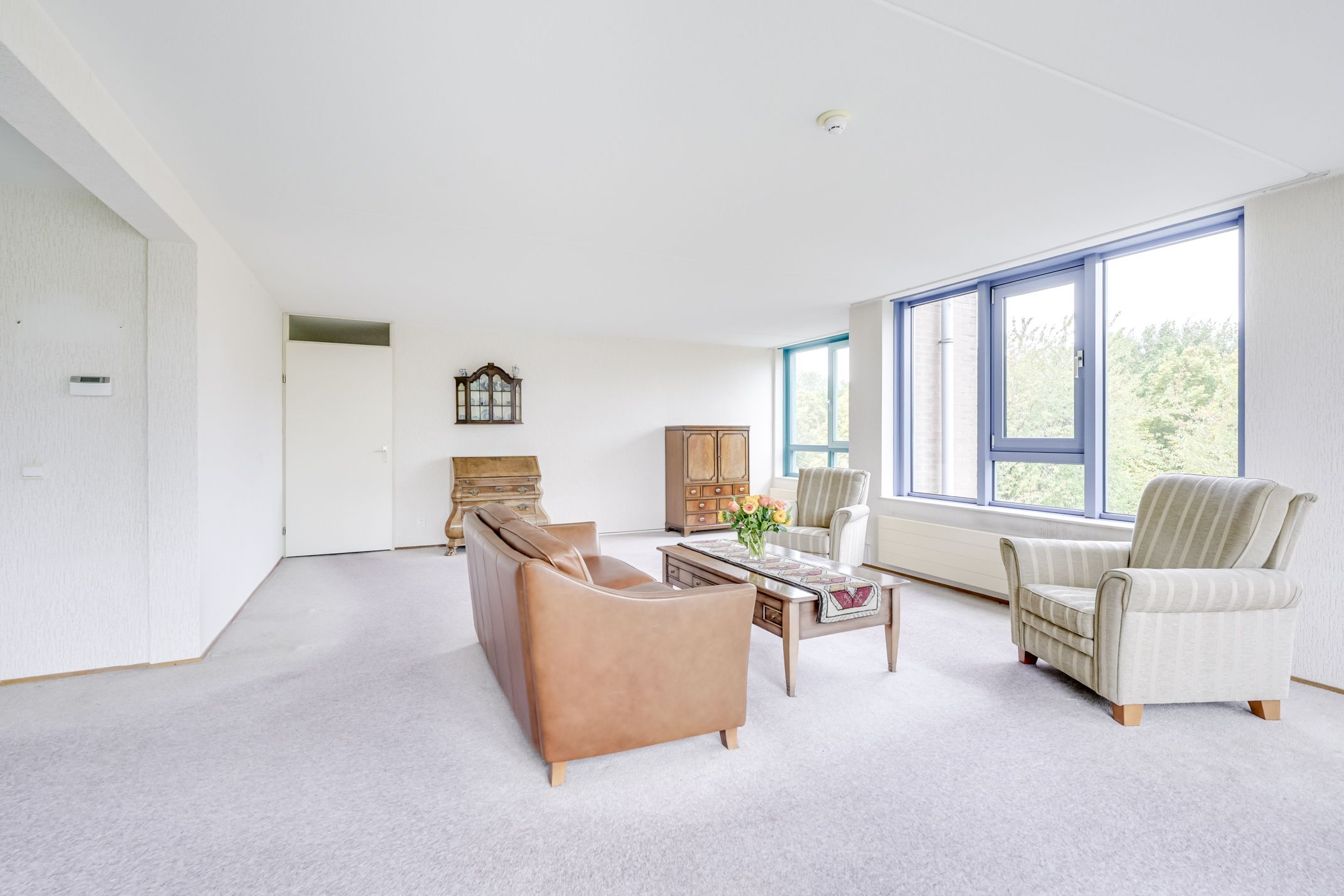 Foto 12 van Distelvlinderberm 42