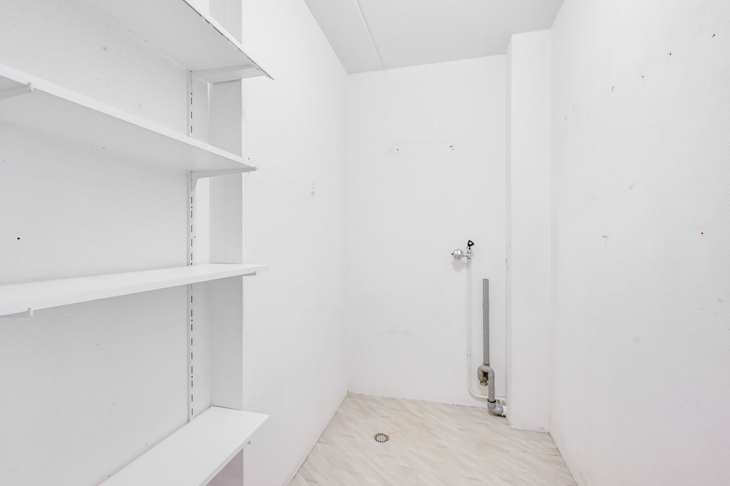 Foto 19 van Distelvlinderberm 42