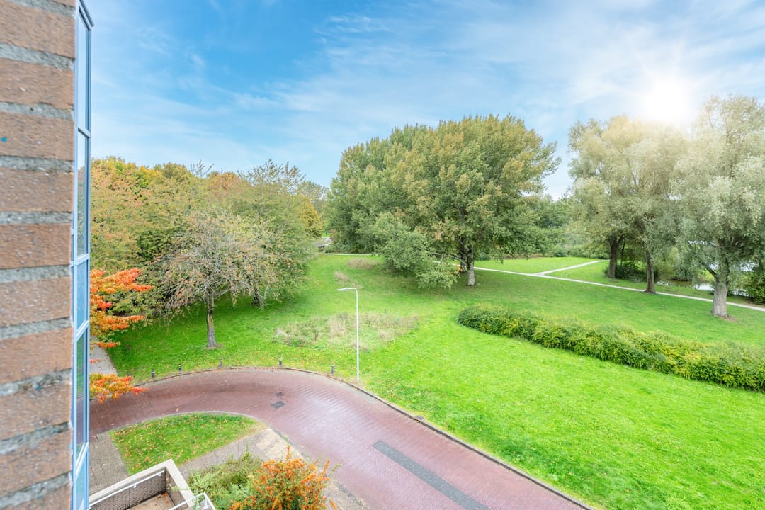 Foto 23 van Distelvlinderberm 42