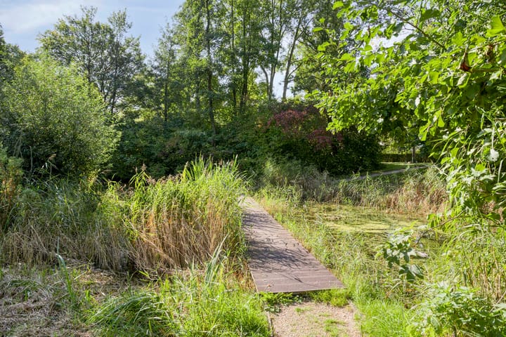 Foto 41 van Lichtboei 120