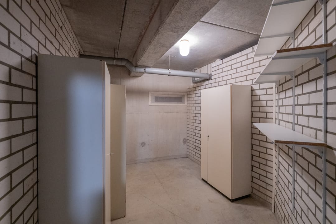 Foto 32 van Distelvlinderberm 42