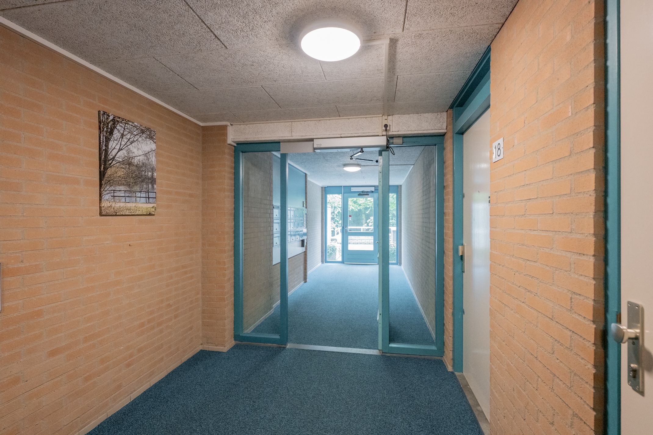 Foto 33 van Distelvlinderberm 42