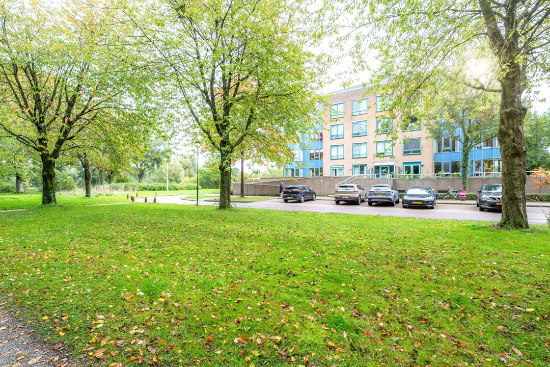 Foto 38 van Distelvlinderberm 42