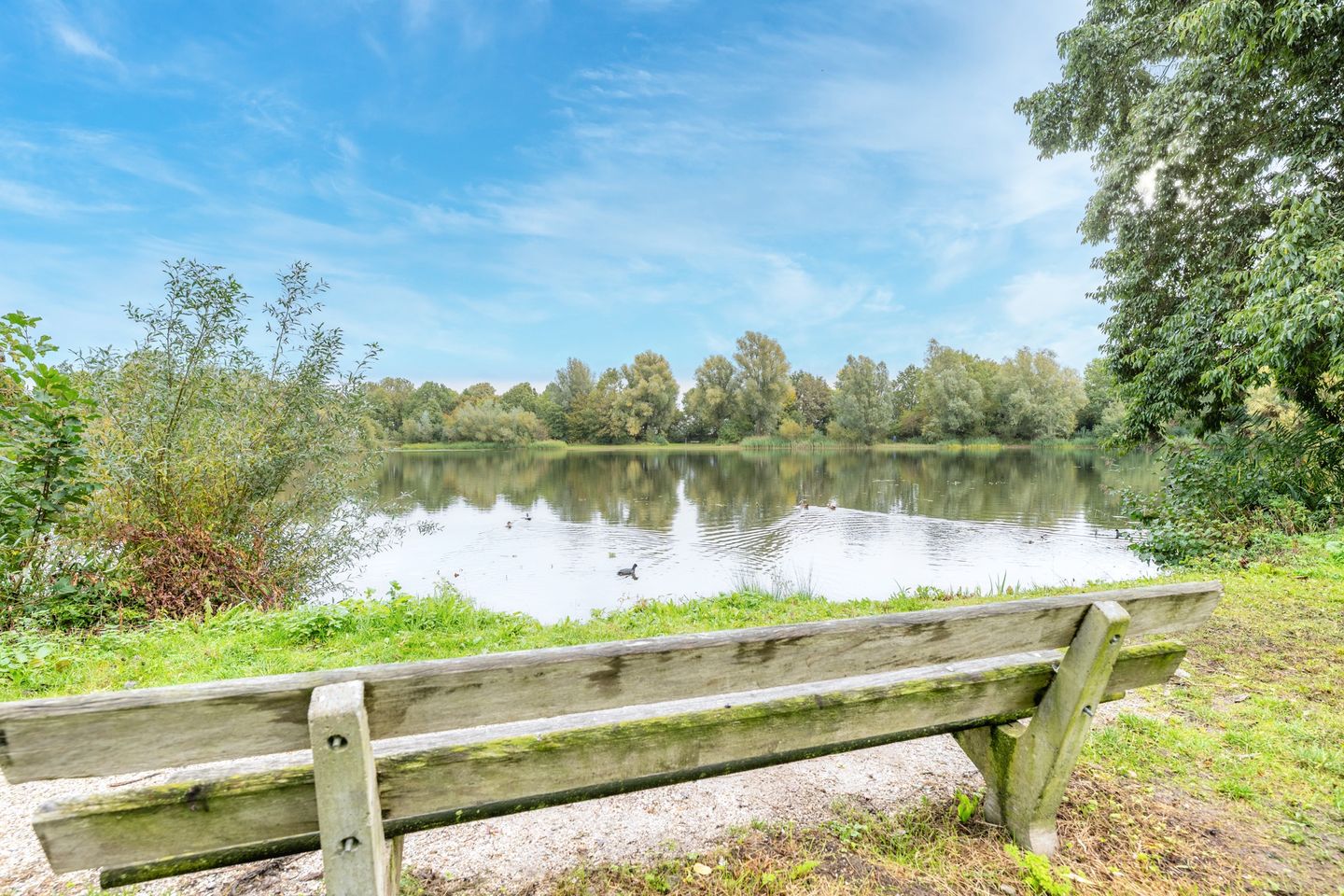 Foto 40 van Distelvlinderberm 42