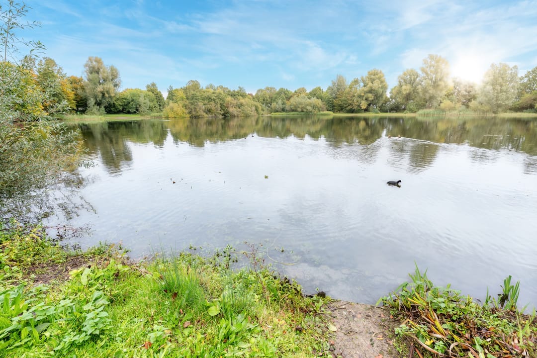 Foto 41 van Distelvlinderberm 42