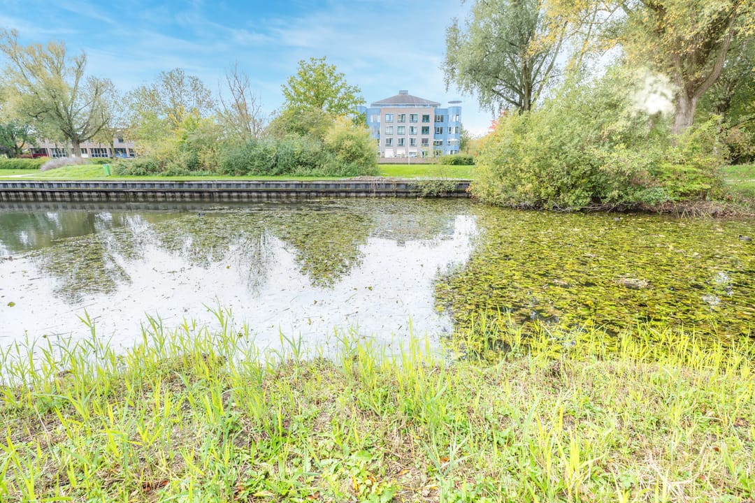 Foto 43 van Distelvlinderberm 42