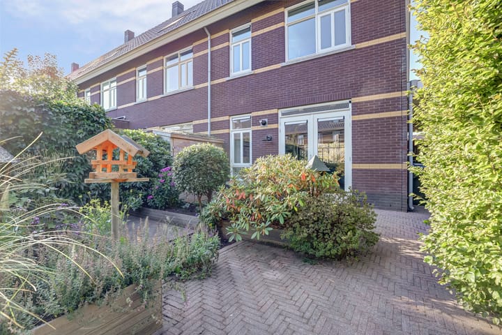 Foto 32 van Leembergerhout 1