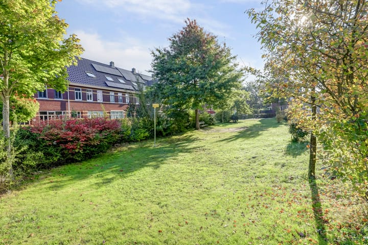 Foto 37 van Leembergerhout 1