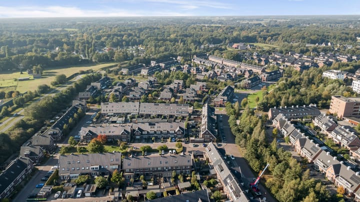 Foto 42 van Leembergerhout 1