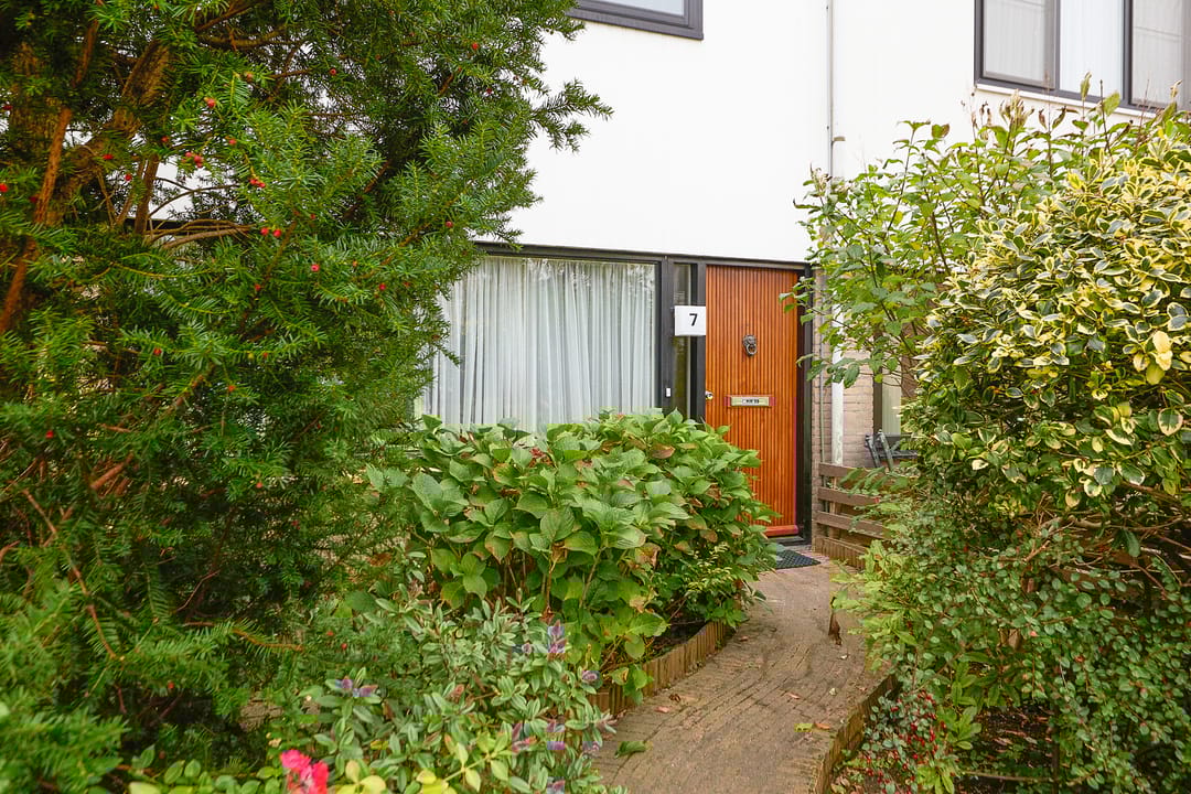 Foto 11 van Drakenstein 7