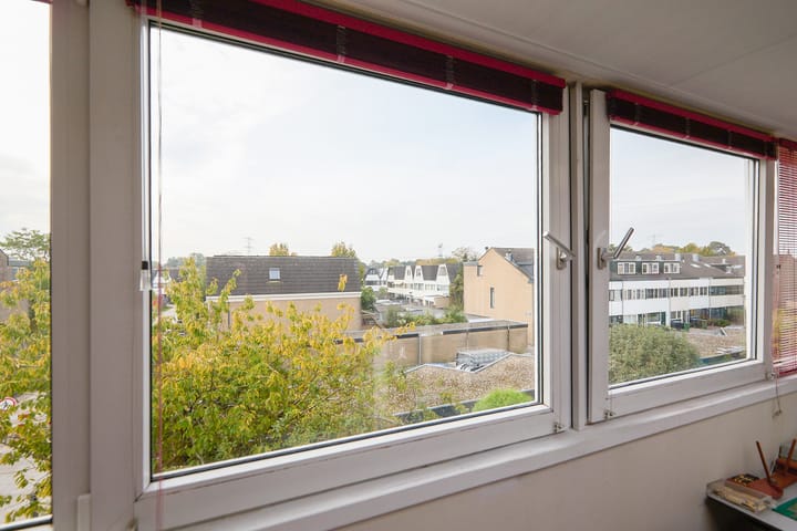 Photo 49 of Drakenstein 7