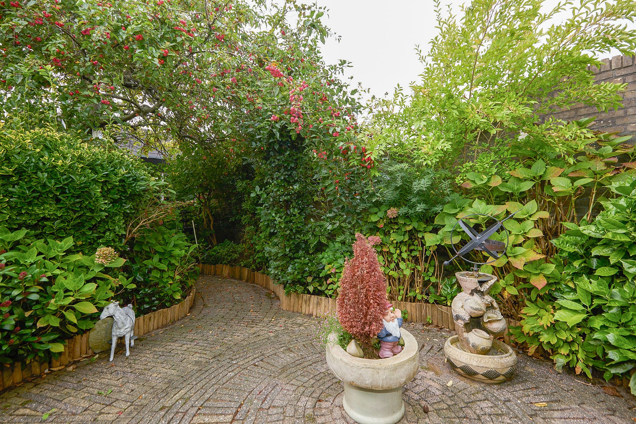 Foto 54 van Drakenstein 7