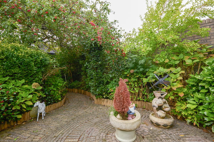 Photo 54 of Drakenstein 7