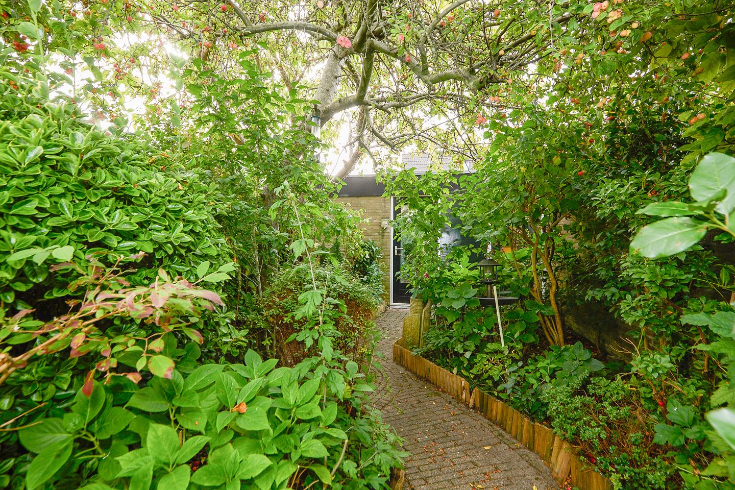 Foto 55 van Drakenstein 7