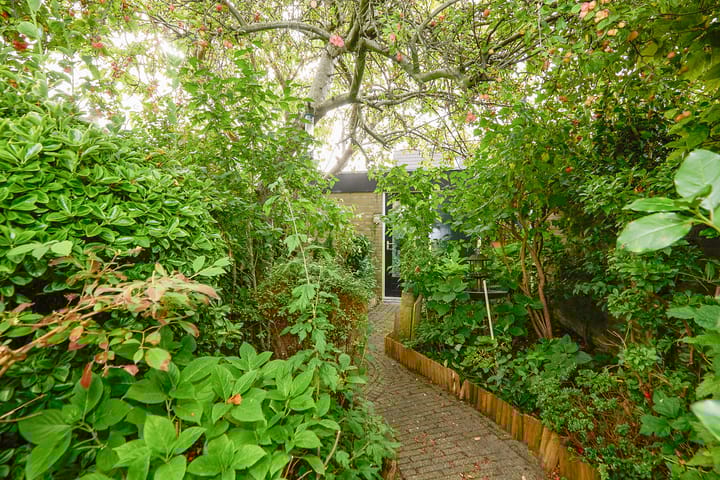 Photo 55 of Drakenstein 7