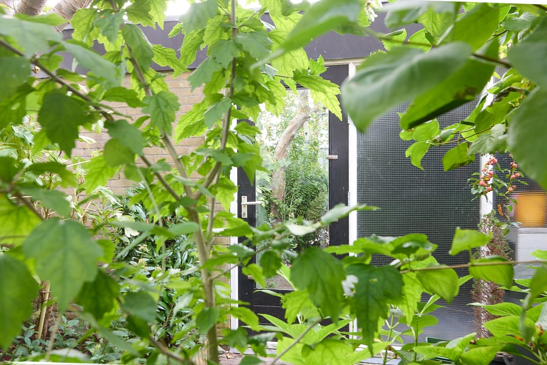 Foto 56 van Drakenstein 7