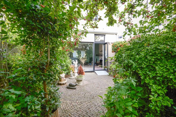 Photo 57 of Drakenstein 7