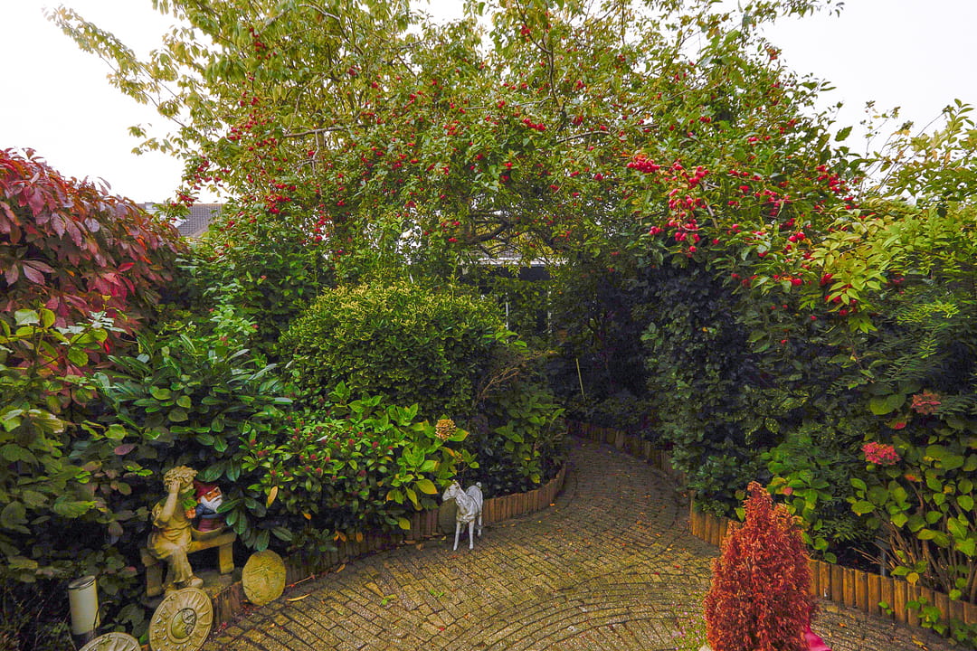 Foto 58 van Drakenstein 7