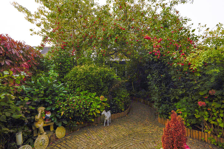 Photo 58 of Drakenstein 7