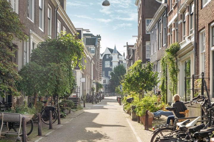 Foto 5 van Eerste Weteringdwarsstraat 48-A