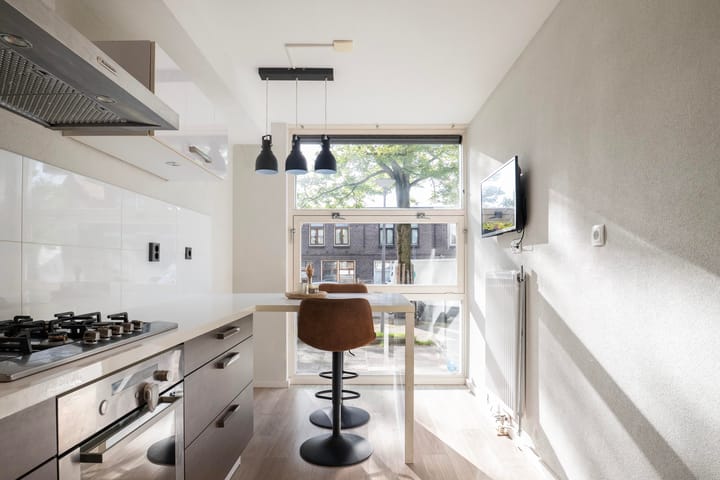 Photo 10 of Theodora Jacobalaan 33-B