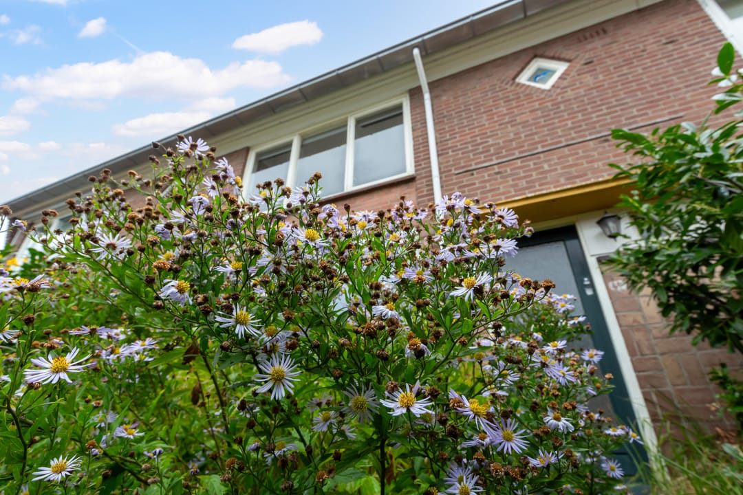 Foto 28 van Schoolstraat 95