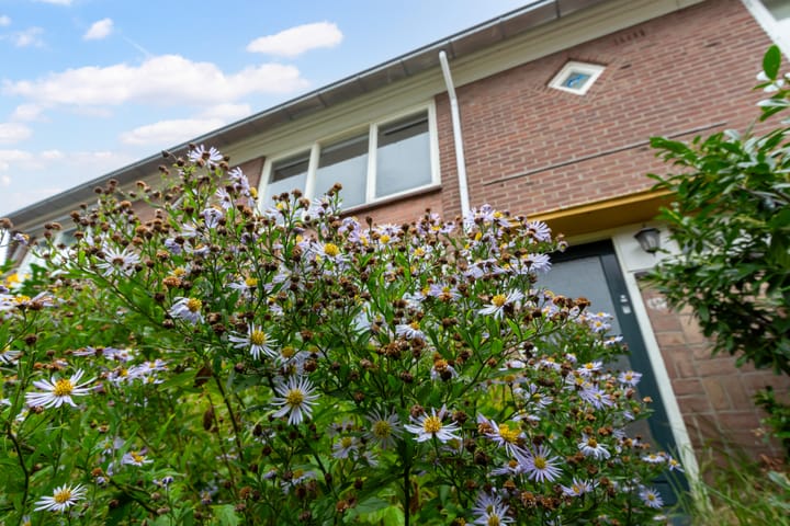 Foto 28 van Schoolstraat 95