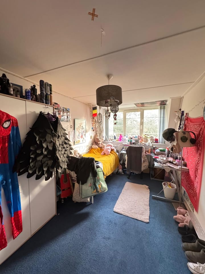 Photo 10 of Vierhonderdpolderdijk 2