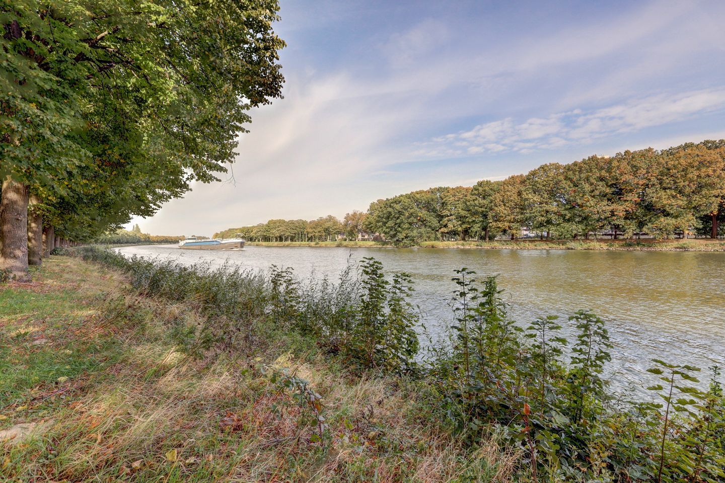 Foto 5 van Draaiom 20