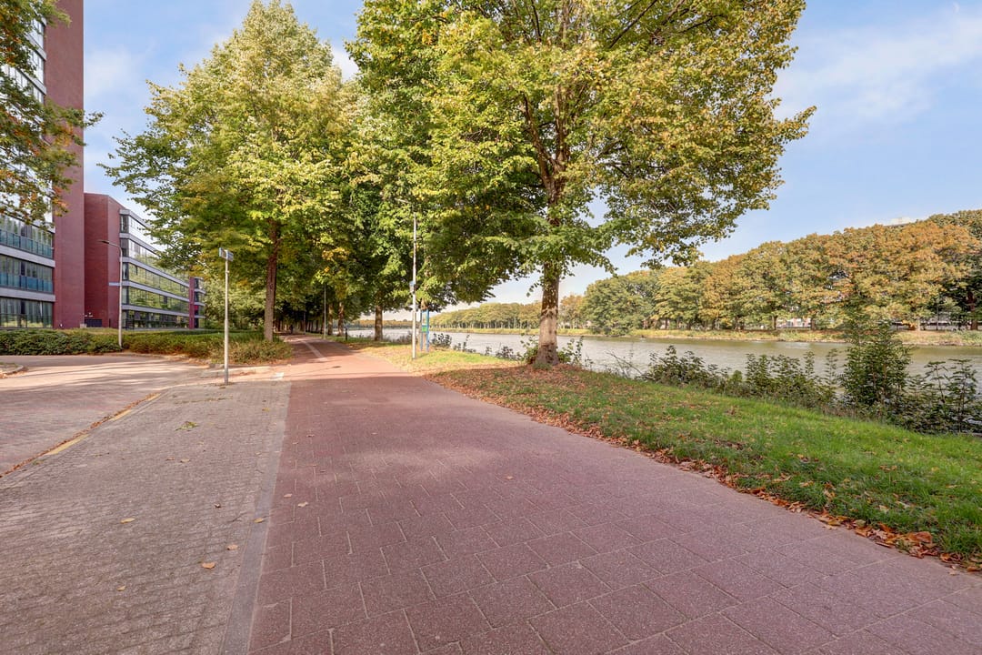 Foto 7 van Draaiom 20