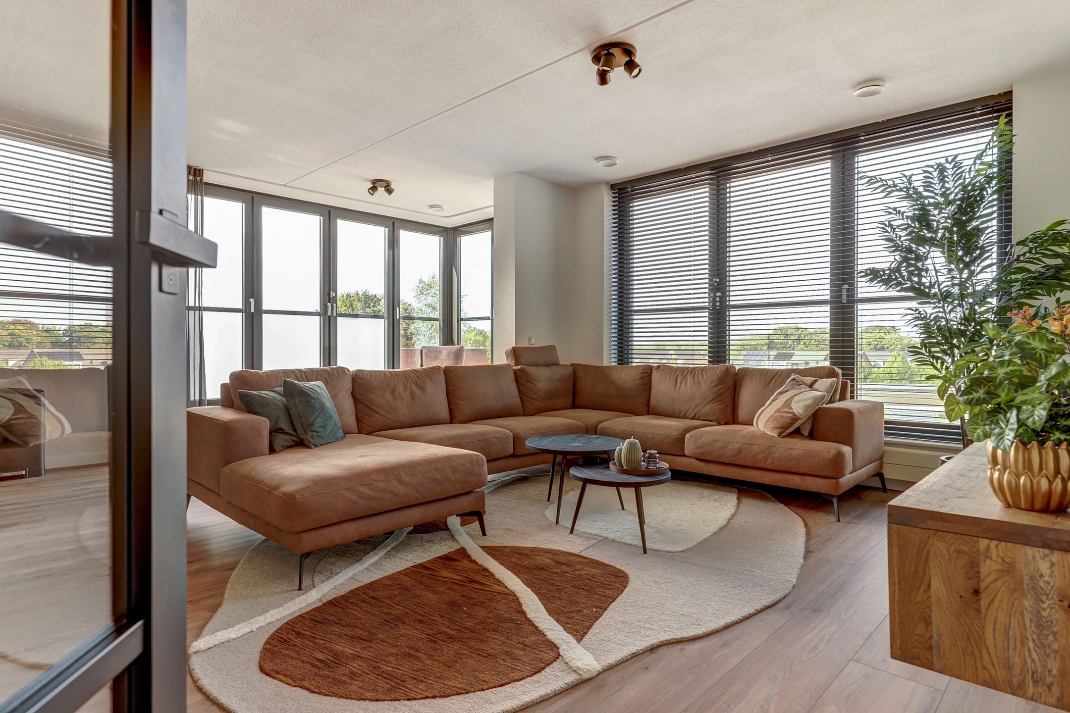 Foto 15 van Draaiom 20