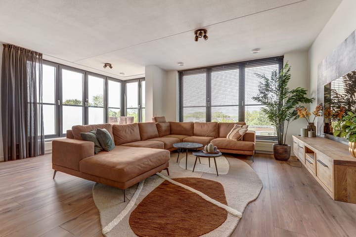 Foto 18 van Draaiom 20