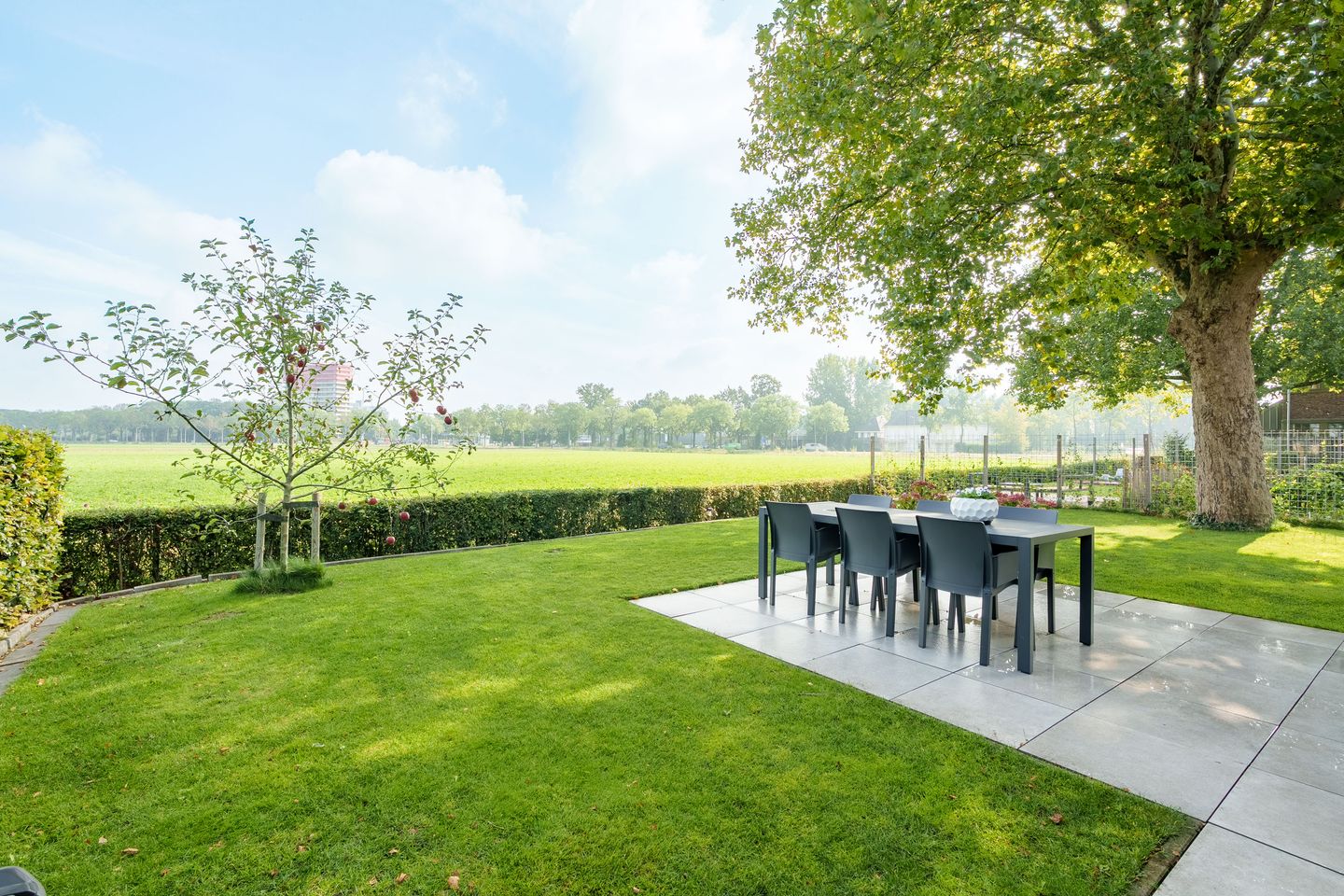 Foto 44 van C.J. Blaauwstraat 22