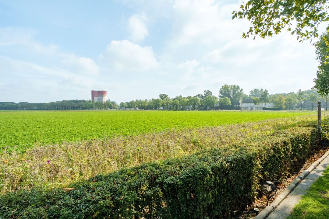 Foto 47 van C.J. Blaauwstraat 22