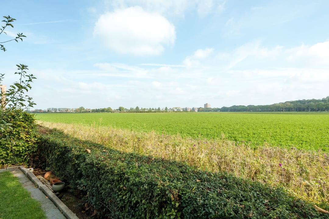 Foto 46 van C.J. Blaauwstraat 22