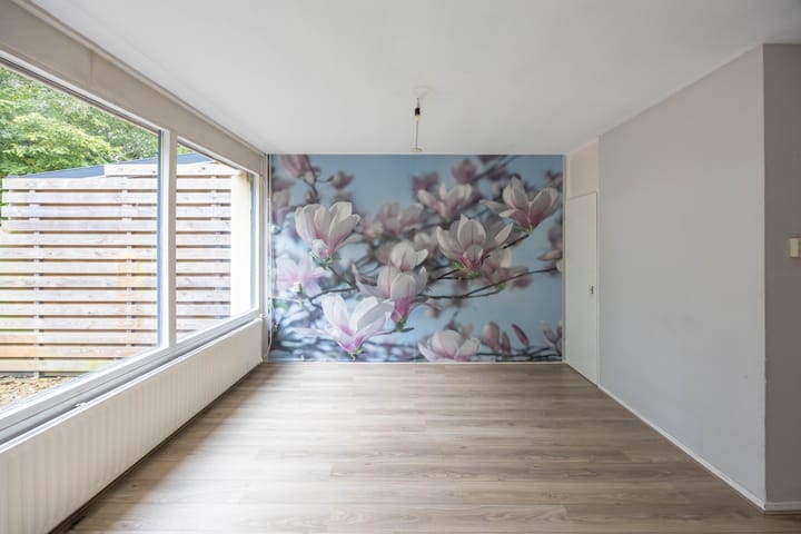 Foto 11 van Sloep 45