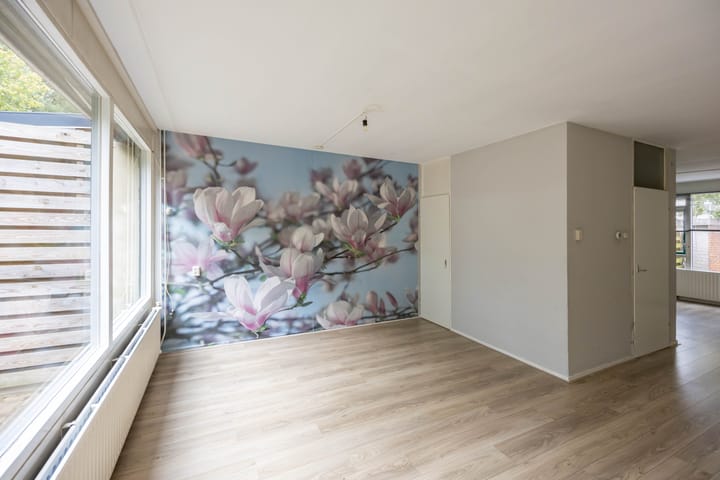 Foto 12 van Sloep 45