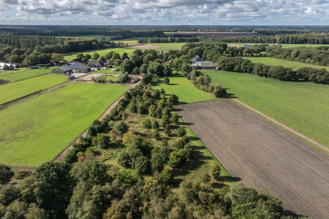 Foto 2 van Papenvoort 7