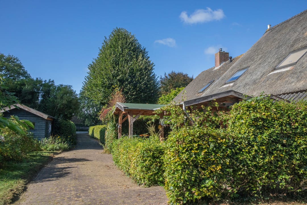 Foto 8 van Papenvoort 7