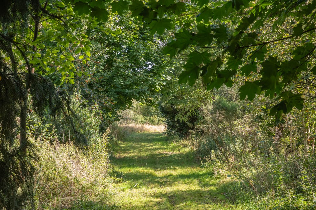 Foto 67 van Papenvoort 7