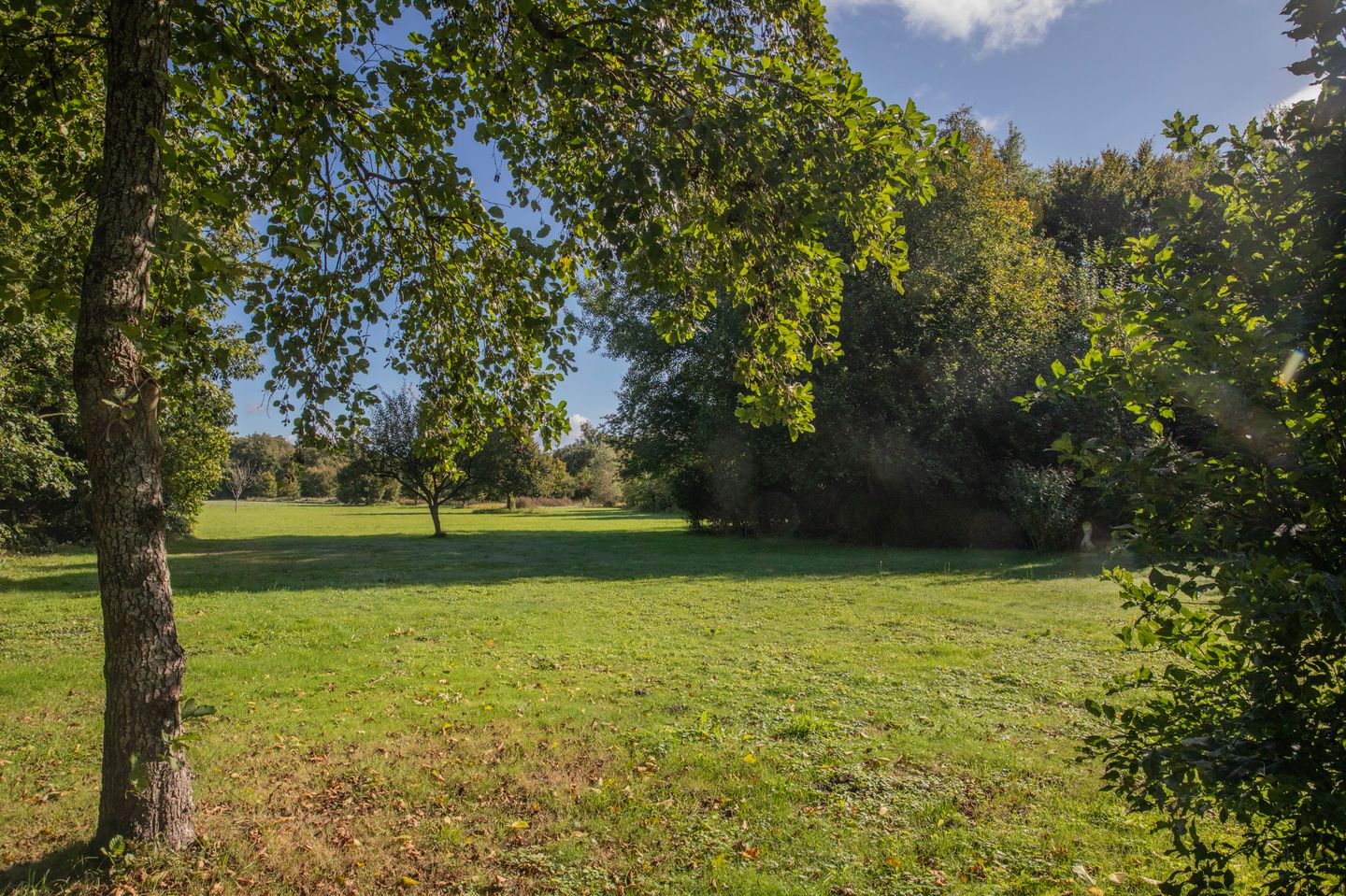 Foto 70 van Papenvoort 7