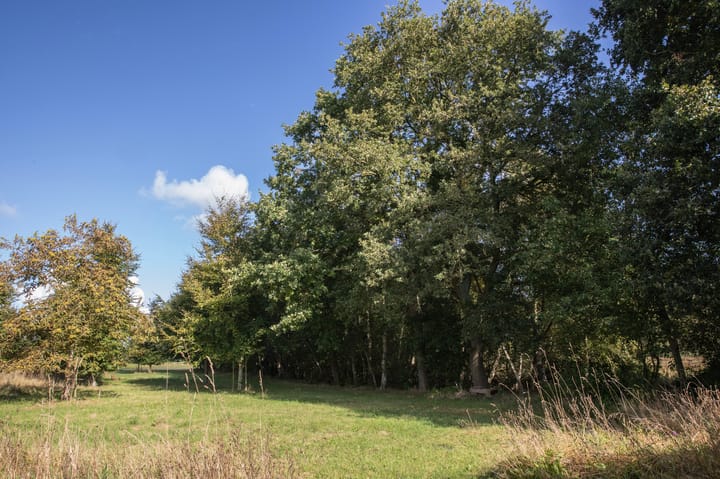 Photo 71 of Papenvoort 7