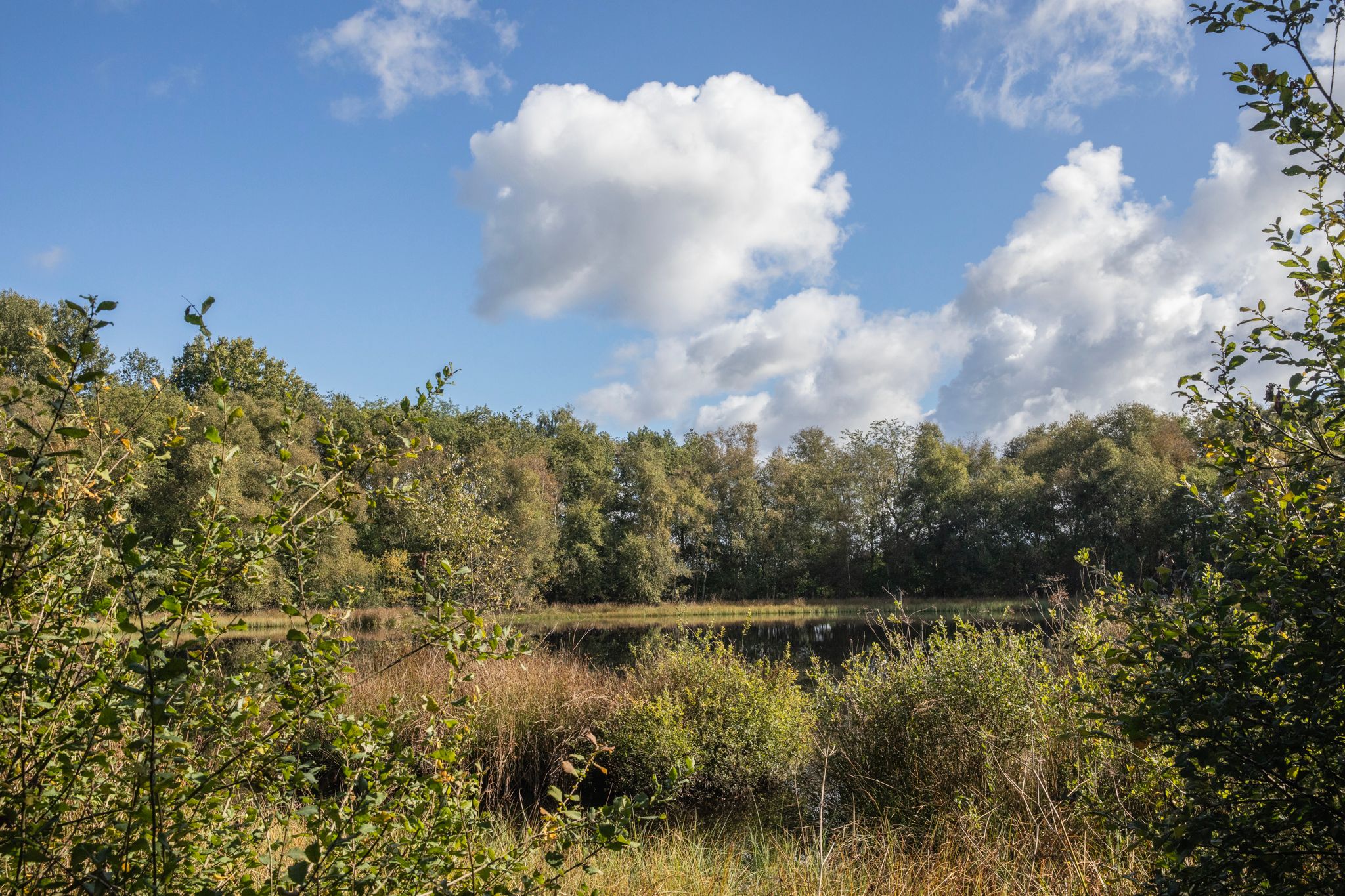 Foto 72 van Papenvoort 7