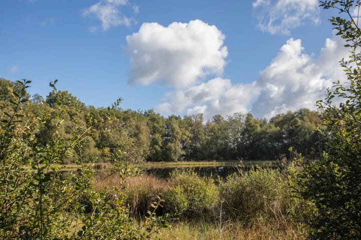 Photo 72 of Papenvoort 7