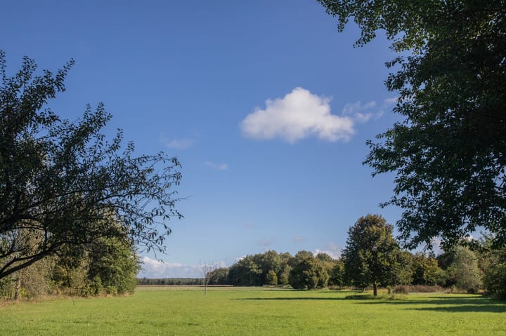 Photo 75 of Papenvoort 7