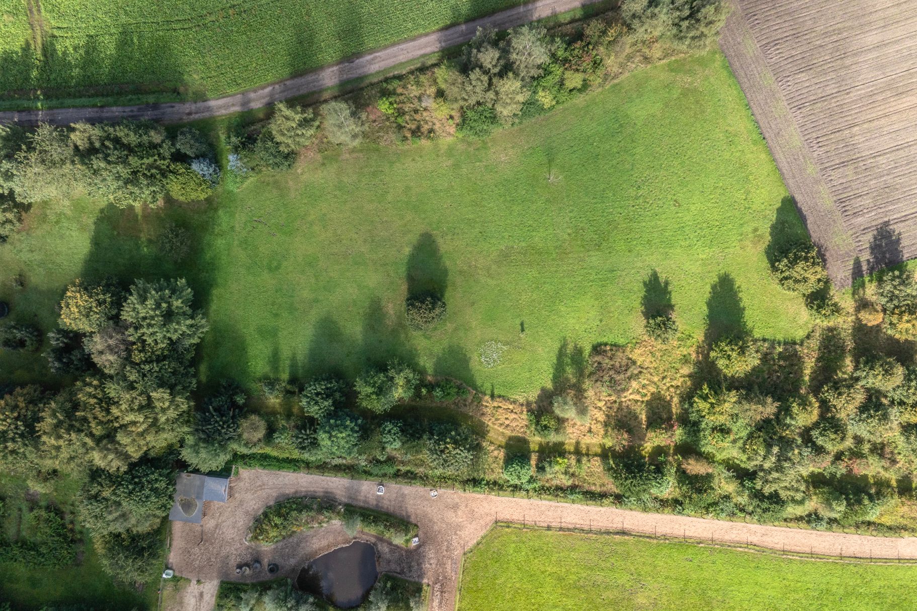 Foto 102 van Papenvoort 7